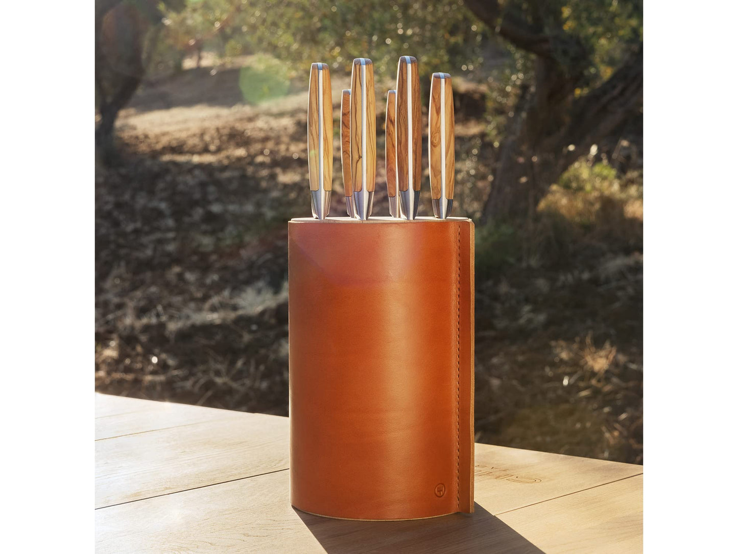 WÜSTHOF Amici 6-Piece Knife Block Set