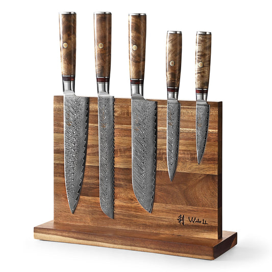 Wakoli Damascus Chef Knife Set with Magnetic Block – 5-Piece Professional Kitchen Knife Block Set, Genuine 67-Layer Damascus Steel Blades with VG10 Core & Ergonomic Sycamore Wood Handles