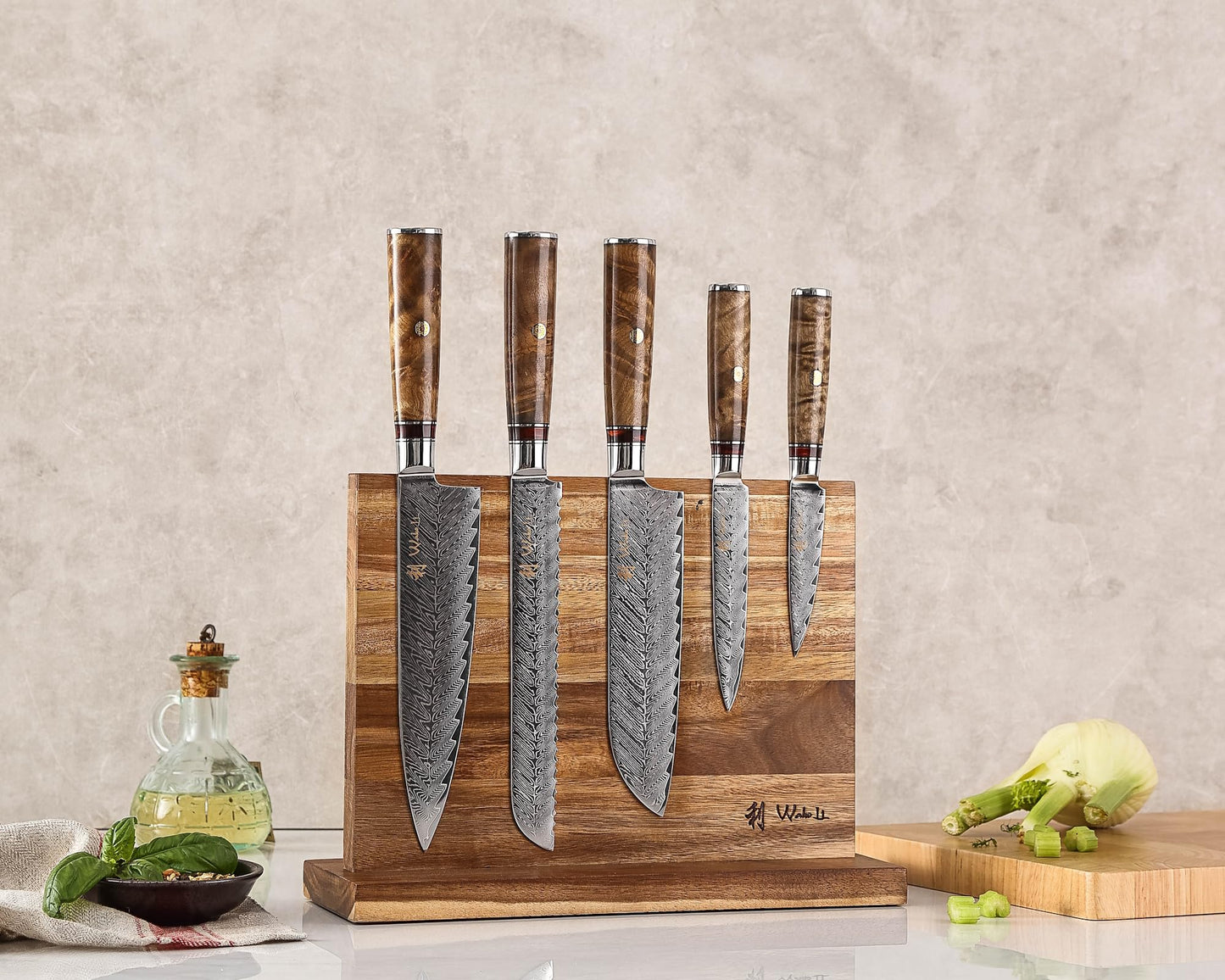 Wakoli Damascus Chef Knife Set with Magnetic Block – 5-Piece Professional Kitchen Knife Block Set, Genuine 67-Layer Damascus Steel Blades with VG10 Core & Ergonomic Sycamore Wood Handles