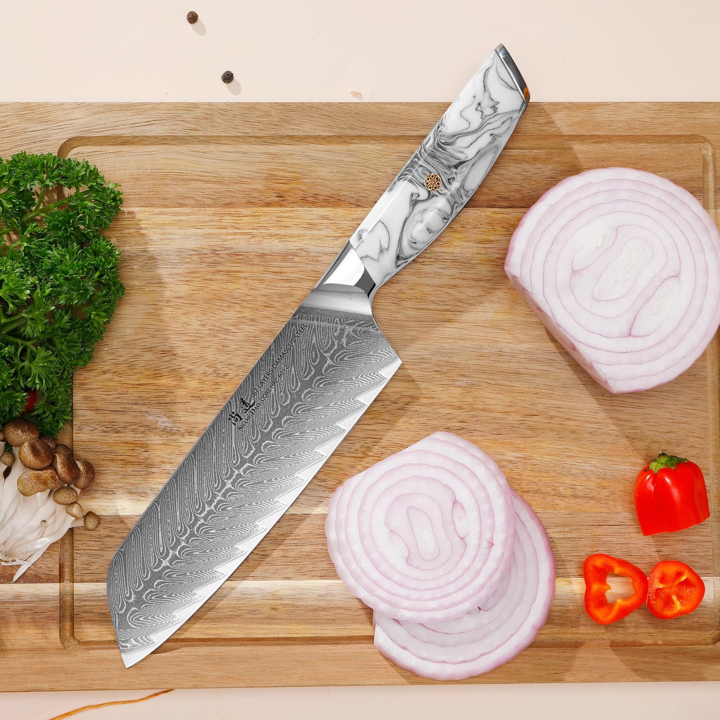 SHANGDAO Damascus Kitchen Knife Set with Magnetic Knife Block, 5 PCS Razor Sharp Kitchen Knives Made of Japanese Damascus Steelwith Block, Well-Balanced Damascus Chef Knife set